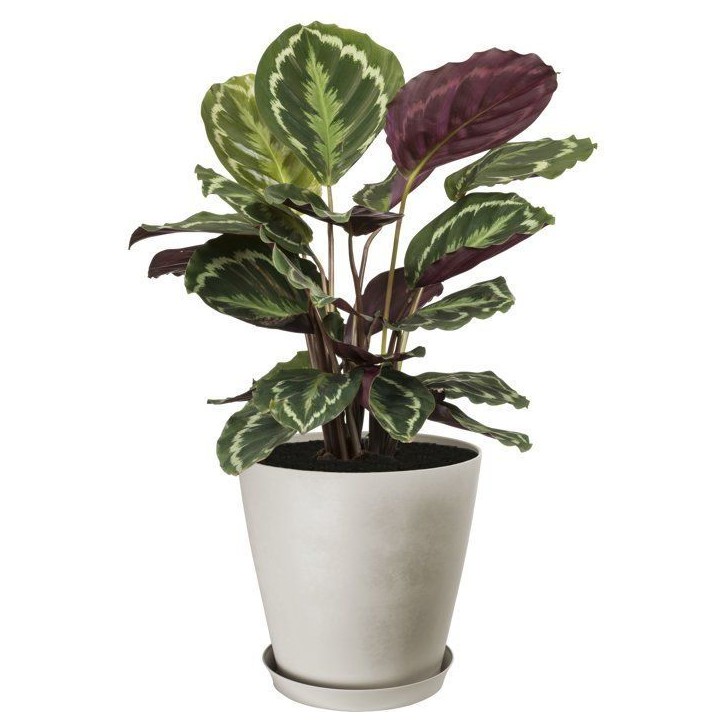 Pot de fleurs rond - GARDEN ID - Swing Cone - Ø 30 - 14 L - H 29 cm - Pierre Blanche