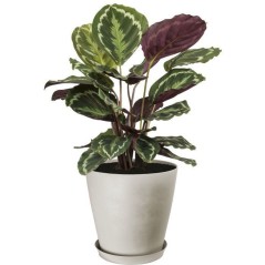 Pot de fleurs rond - GARDEN ID - Swing Cone - Ø 42 - 40 L - H 41 cm - Pierre Blanche