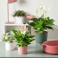 Cache-pot rond - GARDEN ID - Lino - Ø 25 - 7 L - H 22 cm - Blanc