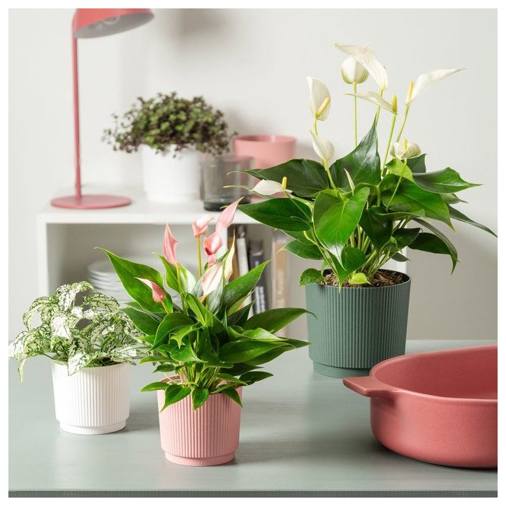 Cache-pot rond - GARDEN ID - Lino - Ø 25 - 7 L - H 22 cm - Blanc