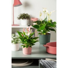 Cache-pot rond - GARDEN ID - Lino - Ø 25 - 7 L - H 22 cm - Vert fonc