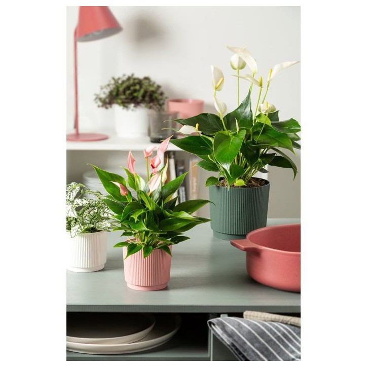 Cache-pot rond - GARDEN ID - Lino - Ø 25 - 7 L - H 22 cm - Vert foncé Cache-pot rond - GARDEN ID - Lino - Ø 25 - 7 L - H 22 cm - Vert foncé