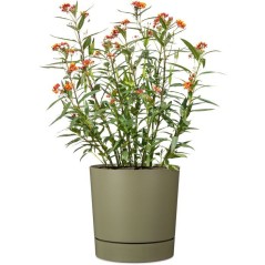 Pot de fleurs avec réserve rond - GARDEN ID - Plano - Ø 29 - 14 L - H 29 cm - Vert mousse