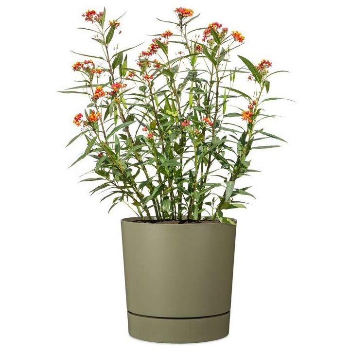 Pot de fleurs avec réserve rond - GARDEN ID - Plano - Ø 47 - 43 L - H 46 cm - Vert mousse Pot de fleurs avec réserve rond - GARDEN ID - Plano - Ø 47 - 43 L - H 46 cm - Vert mousse