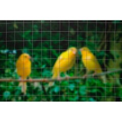 Grillage carré - NATURE - 0,5 x 10 m - Ep. 12,7 mm - Gris
