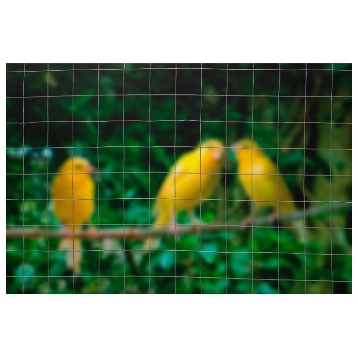 Grillage carré - NATURE - 0,5 x 10 m - Ep. 12,7 mm - Gris