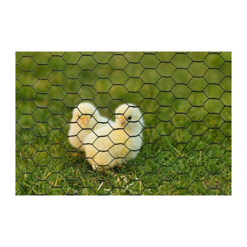 Grillage hexagonal galvanisé - NATURE - 0,5 x 3 m - Ep.13 mm - Vert