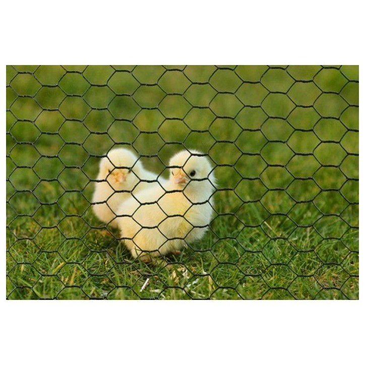 Grillage hexagonal galvanisé - NATURE - 0,5 x 3 m - Ep.13 mm - Vert Grillage hexagonal galvanisé - NATURE - 0,5 x 3 m - Ep.13 mm - Vert