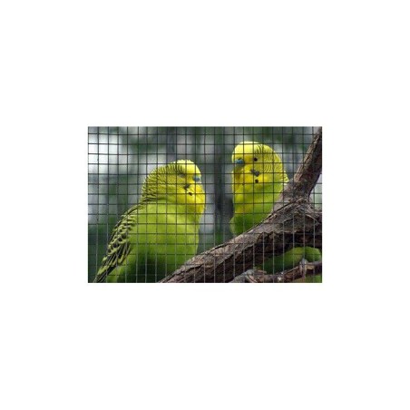 Grillage carré - NATURE - 0,5 x 3 m - Ep. 19 mm - Vert