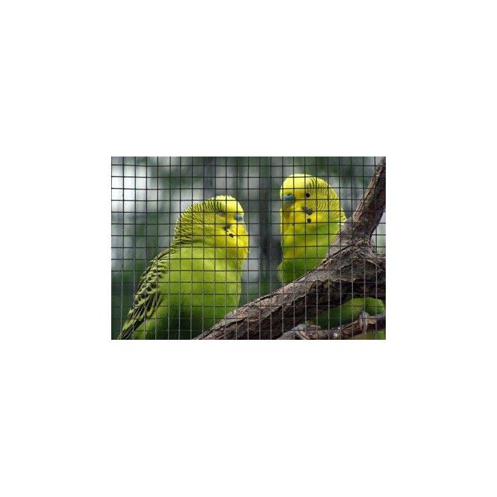 Grillage carré - NATURE - 0,5 x 3 m - Ep. 19 mm - Vert Grillage carré - NATURE - 0,5 x 3 m - Ep. 19 mm - Vert