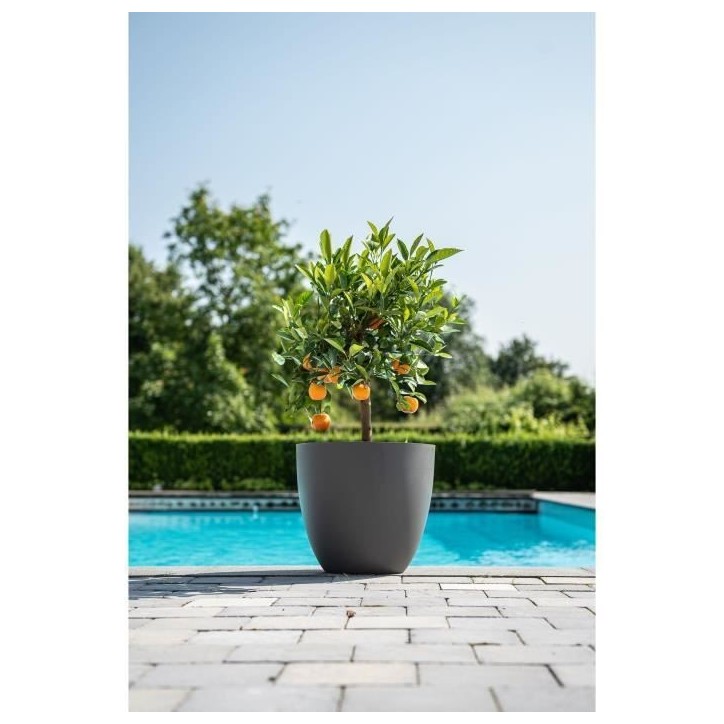 Pot de fleurs - GARDEN ID - Phoenix Anthracite - 48 x 42 cm - 100% Recyclé et Recyclable - Résistant au Gel et UV - Pour Exté