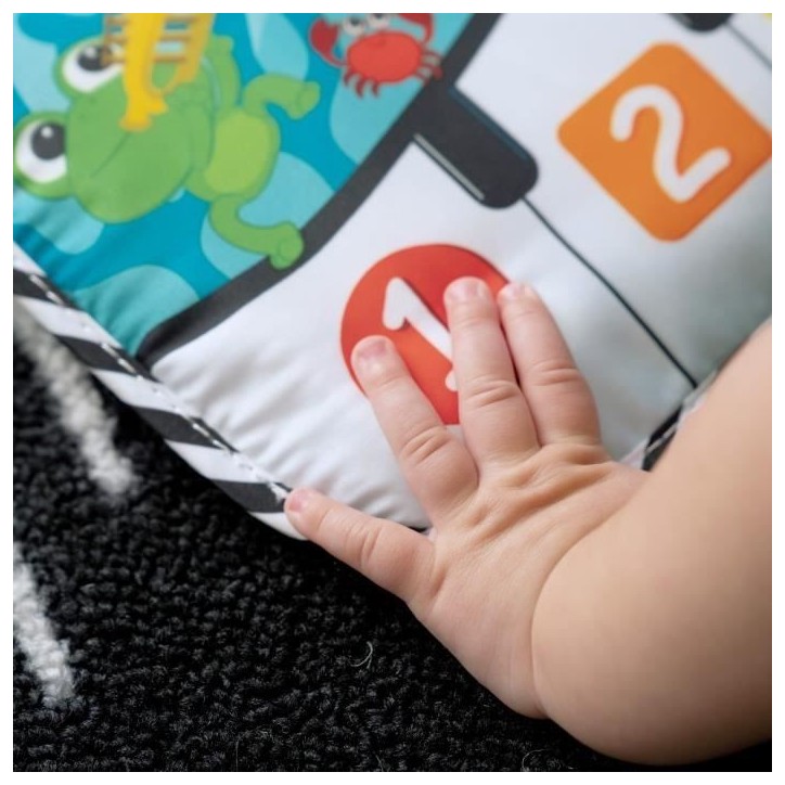 BABY EINSTEIN NEPTUNE Piano de lit bébé musical pour bébé, découverte chiffres, Cadeau Noel bébé, 0M+ BABY EINSTEIN NEPTUNE Piano de lit bébé musical pour bébé, découverte chiffres, Cadeau Noel bébé, 0M+