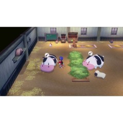 Story of Seasons Grand Bazaar - Jeu PS5