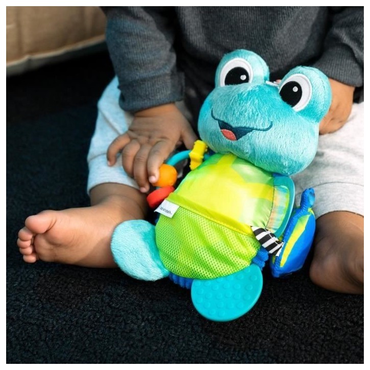 BABY EINSTEIN NEPTUNE Peluche doudou bébé tortue, multisensoriel, Cadeau Noel bébé 0M+ BABY EINSTEIN NEPTUNE Peluche doudou bébé tortue, multisensoriel, Cadeau Noel bébé 0M+