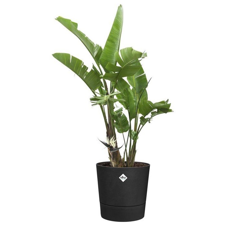 Pot de fleur rond - ELHO - Foss Rond 35 - 21 L - L 35 x B 34.5 x H 34 cm - Noir - Extérieur Pot de fleur rond - ELHO - Foss Rond 35 - 21 L - L 35 x B 34.5 x H 34 cm - Noir - Extérieur