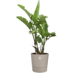 Pot de fleur rond - ELHO - Foss Rond 35 - 21 L - L 35 x B 34.5 x H 34