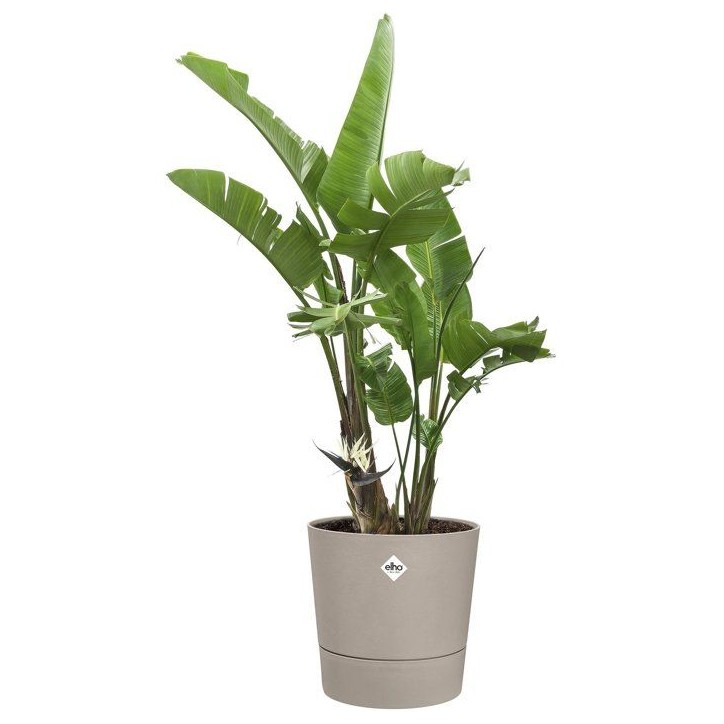 Pot de fleur rond - ELHO - Foss Rond 35 - 21 L - L 35 x B 34.5 x H 34 cm - Beige - Extérieur