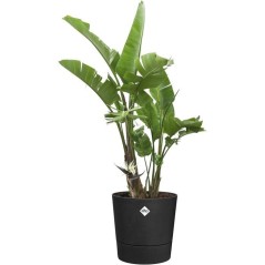 Pot de fleur rond - ELHO - Foss Rond 43 - 39 L - Ø 43 x H 43 cm - Noi