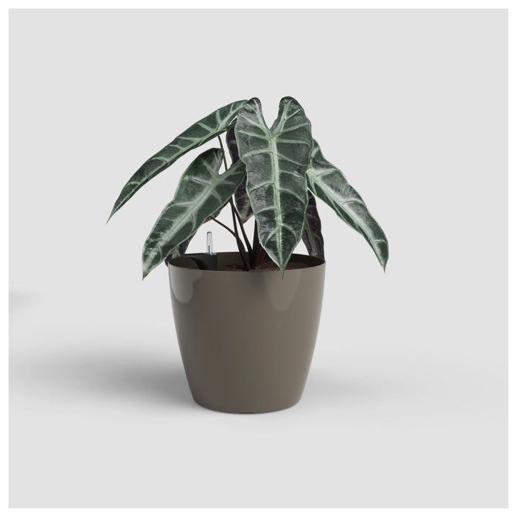 Pot de fleurs - ARTEVASI - San Remo SWS 36 BR - Intérieur/extérieur - Plastique - Ø36 x H33,5 cm - 25 L - Taupe Pot de fleurs - ARTEVASI - San Remo SWS 36 BR - Intérieur/extérieur - Plastique - Ø36 x H33,5 cm - 25 L - Taupe