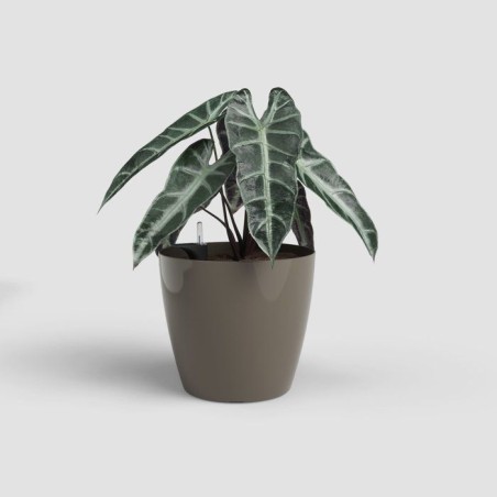 Pot de fleurs - ARTEVASI - San Remo SWS 42 BR - Intérieur/extérieur - Plastique - Ø42,7 x H39,5 cm - 42,3 L - Taupe