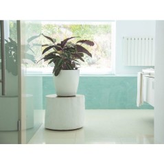 Pot de fleurs - ARTEVASI - San Remo SWS 42 BR - Intérieur/extérieur