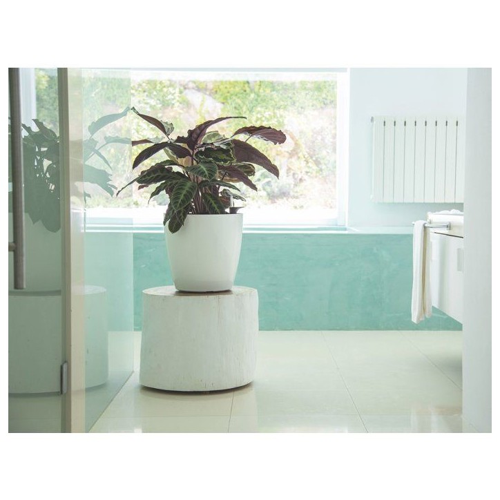 Pot de fleurs - ARTEVASI - San Remo SWS 42 BR - Intérieur/extérieur - Plastique - Ø42,7 x H39,5 cm - 42,3 L - Gris anthracite Pot de fleurs - ARTEVASI - San Remo SWS 42 BR - Intérieur/extérieur - Plastique - Ø42,7 x H39,5 cm - 42,3 L - Gris anthracite