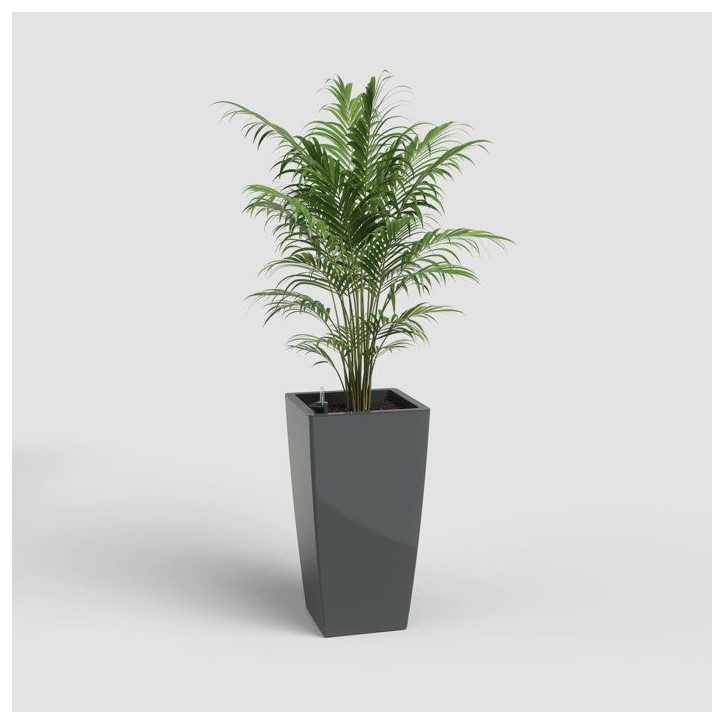 Pot de fleurs - ARTEVASI - Pisa SWS 78 BR - Intérieur/extérieur - Plastique - Ø40 x H78 cm - 79 L - Gris anthracite Pot de fleurs - ARTEVASI - Pisa SWS 78 BR - Intérieur/extérieur - Plastique - Ø40 x H78 cm - 79 L - Gris anthracite