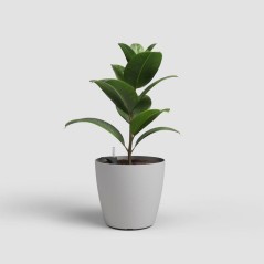Pot de fleurs - ARTEVASI - San Remo SWS 30 MA - Intérieur/extérieur - Plastique - Ø30,5 x H27 cm - 14,5 L - Gris clair