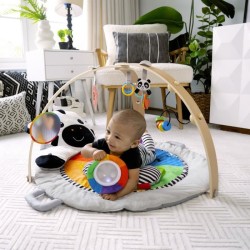 BABY EINSTEIN ZEN LE ZEBRE Tapis d'éveil arche de jeu en bois, jouets