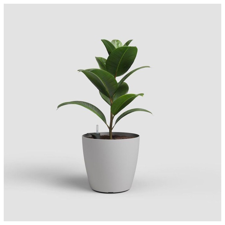 Pot de fleurs - ARTEVASI - San Remo SWS 36 MA - Intérieur/extérieur - Plastique - Ø36 x H33,5 cm - 25 L - Gris clair Pot de fleurs - ARTEVASI - San Remo SWS 36 MA - Intérieur/extérieur - Plastique - Ø36 x H33,5 cm - 25 L - Gris clair