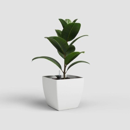 Pot de fleurs - ARTEVASI - Siena SWS 30 MA - Intérieur/extérieur - Plastique - Ø30 x H27 cm - 17,5 L - Blanc