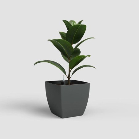 Pot de fleurs - ARTEVASI - Siena SWS 30 MA - Intérieur/extérieur - Plastique - Ø30 x H27 cm - 17,5 L - Gris anthracite
