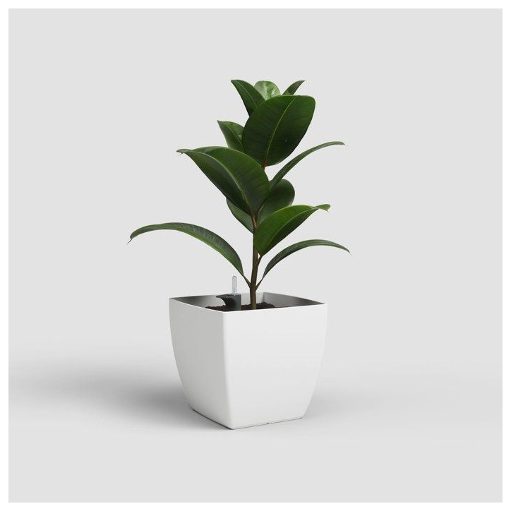 Pot de fleurs - ARTEVASI - Siena SWS 40 MA - Intérieur/extérieur - Plastique - Ø40 x H36 cm - 41,5 L - Blanc Pot de fleurs - ARTEVASI - Siena SWS 40 MA - Intérieur/extérieur - Plastique - Ø40 x H36 cm - 41,5 L - Blanc