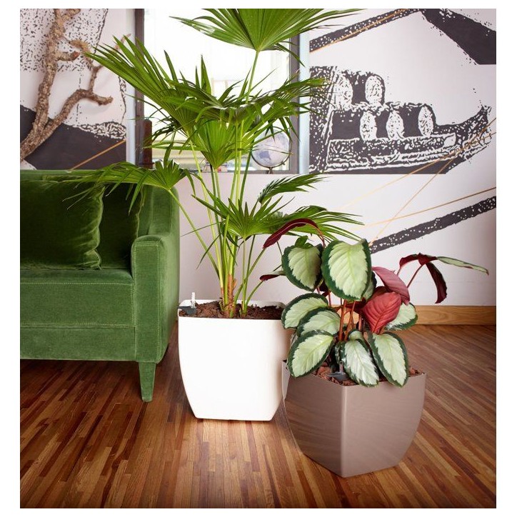 Pot de fleurs - ARTEVASI - Siena SWS 40 MA - Intérieur/extérieur - Plastique - Ø40 x H36 cm - 41,5 L - Blanc Pot de fleurs - ARTEVASI - Siena SWS 40 MA - Intérieur/extérieur - Plastique - Ø40 x H36 cm - 41,5 L - Blanc