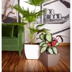 Pot de fleurs - ARTEVASI - Siena SWS 40 MA - Intérieur/extérieur - P