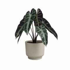 ARTEVASI Pot de fleur - Miami Wavy - 30 cm - 13 L - Creme - Dimensions: 29.7x29.7x25.1 cm