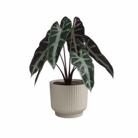 ARTEVASI Pot de fleur - Miami Wavy - 30 cm - 13 L - Creme - Dimensions: 29.7x29.7x25.1 cm