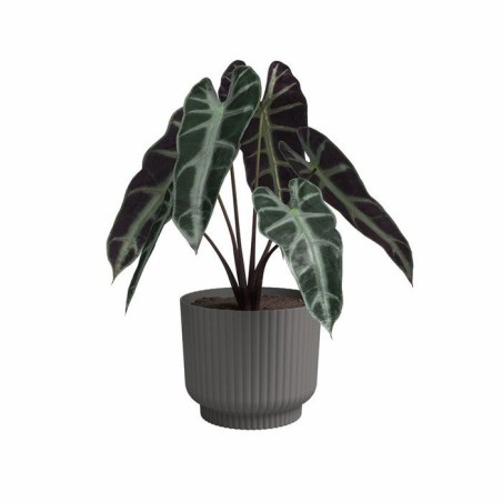 ARTEVASI Pot de fleur - Miami Wavy - 30 cm - 13 L - Anthracite - Dimensions: 29.7x29.7x25.1 cm