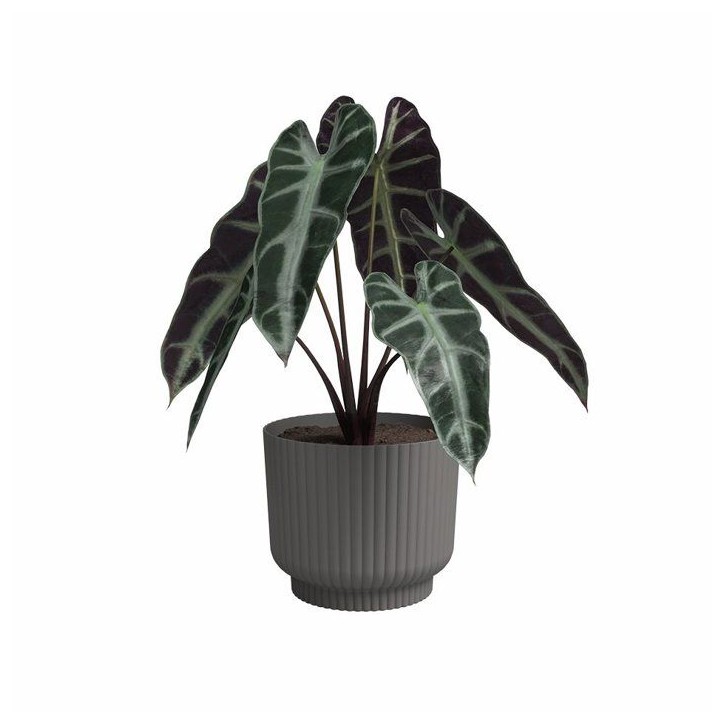 ARTEVASI Pot de fleur - Miami Wavy - 30 cm - 13 L - Anthracite - Dimensions: 29.7x29.7x25.1 cm