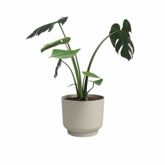 ARTEVASI Pot de fleur - Miami - 30 cm - 13 L - Creme - Dimensions: 29.7x29.7x25.1 cm