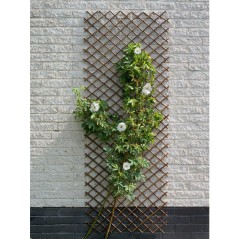 Treillis extensible - NATURE - En osier FSC naturel - 60 x 180 cm
