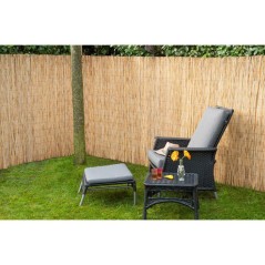 Paillon - NATURE - Tiges de roseaux naturels pelés - 3 x 1 m