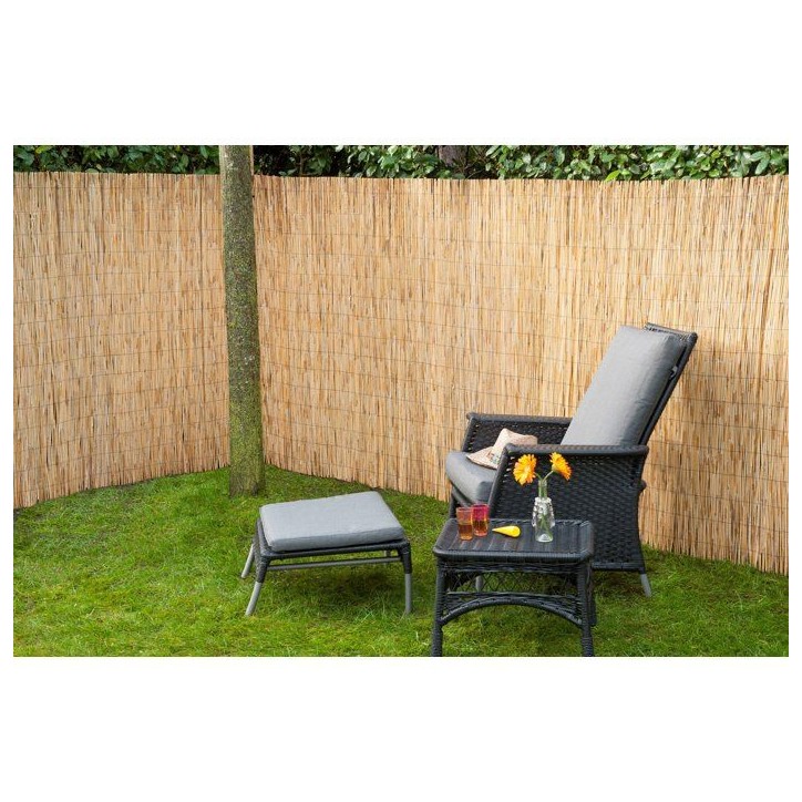 Paillon - NATURE - Tiges de roseaux naturels pelés - 3 x 1 m Paillon - NATURE - Tiges de roseaux naturels pelés - 3 x 1 m