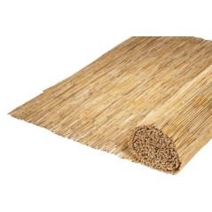 Paillon - NATURE - Tiges de roseaux naturels pelés - 3 x 1 m