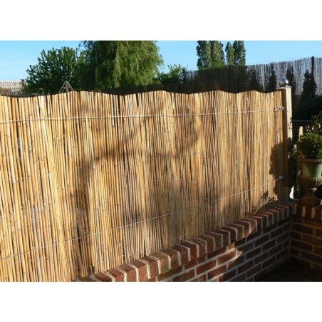 Canisse - NATURE - Roseaux fendus naturels - 5 x 1 m