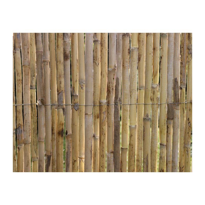 Canisse - NATURE - Roseaux fendus naturels Premium - 3 x 1 m
