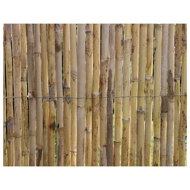 Canisse - NATURE - Roseaux fendus naturels Premium - 3 x 1 m Canisse - NATURE - Roseaux fendus naturels Premium - 3 x 1 m