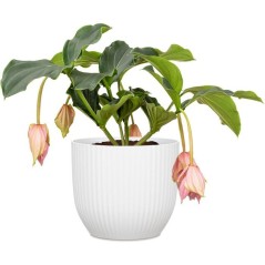 Pot de fleurs rond - DEROMA - 231 - 10 L - Ø 27 cm - Blanc