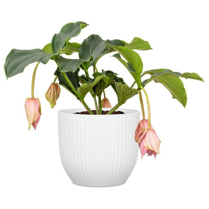 Pot de fleurs rond - DEROMA - 231 - 10 L - Ø 27 cm - Blanc Pot de fleurs rond - DEROMA - 231 - 10 L - Ø 27 cm - Blanc