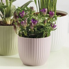 Pot de fleurs rond - DEROMA - 231 - 7 L - Ø 24 cm - Rose